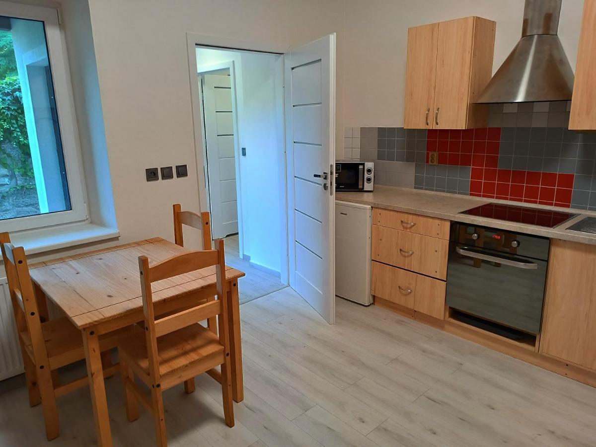 Dolni Zleb 124 Apartment Decin Exterior photo